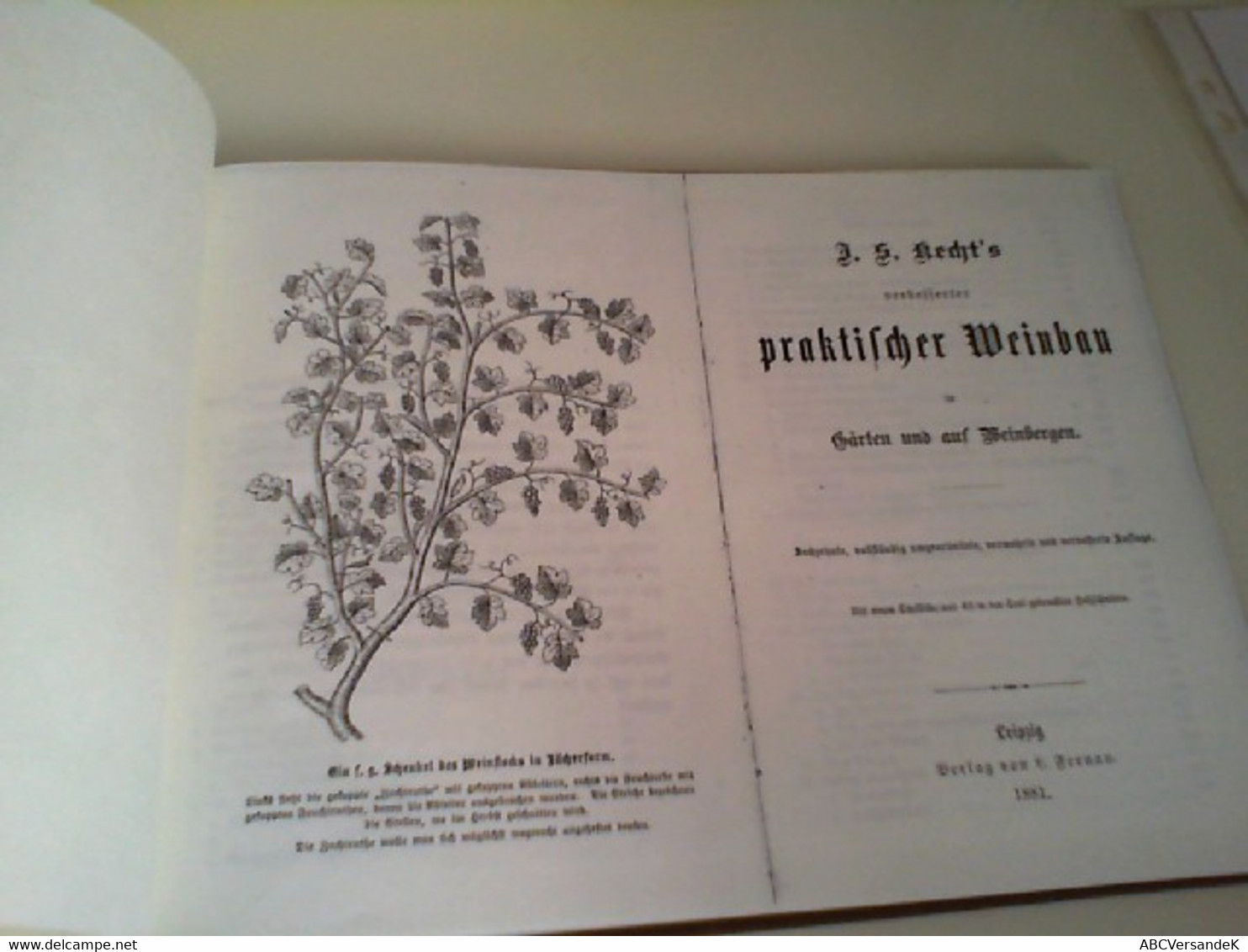 I. S. (?) Recht's Verbesserter Praktischer Weinbau In Gärten Und Auf Weinbergen - Botanik