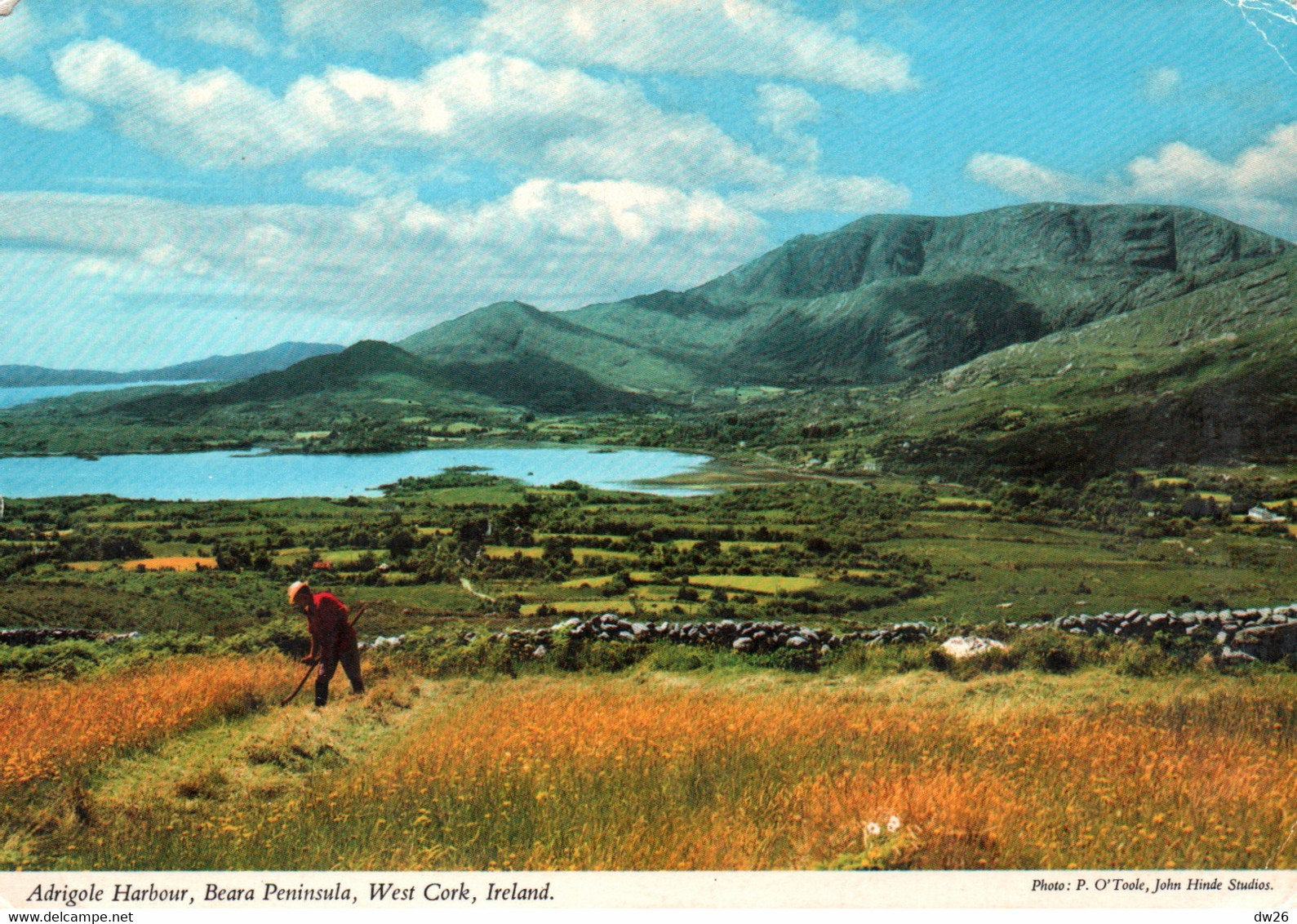 Adrigole Harbour, Beara Peninsula, West Cork, Ireland - John Hinde Ltd - Uncirculated Card - Cork