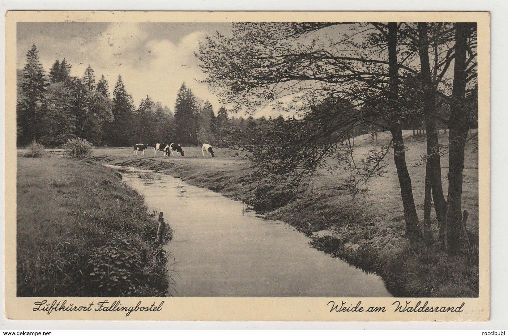 Fallingbostel, Weide Am Waldesrand - Fallingbostel