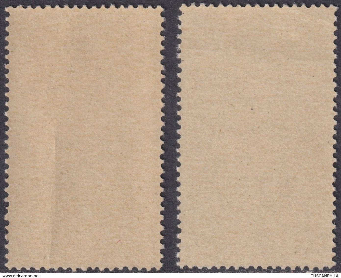 Corpo Polacco Coppia 50 C. Grigio Nero Sass. 20 MNH** Var. - 1946-47 Corpo Polacco Period