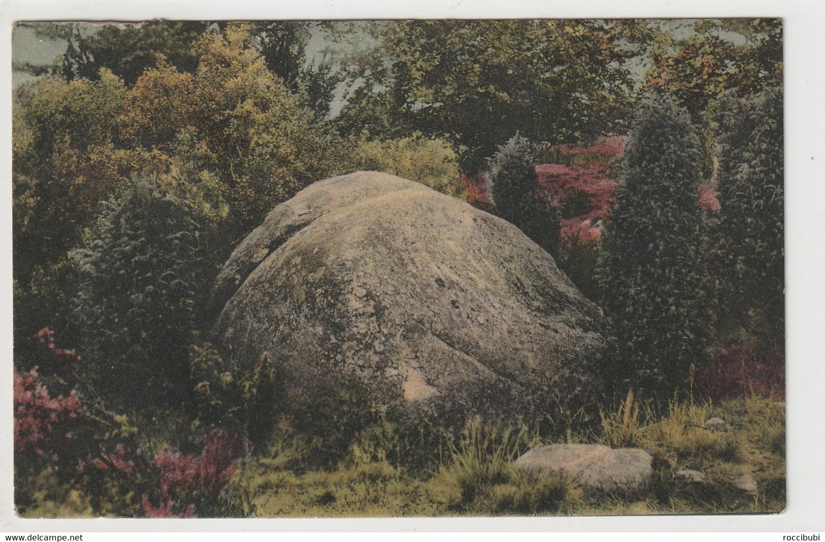 Lüneburger Heide - Lüneburger Heide