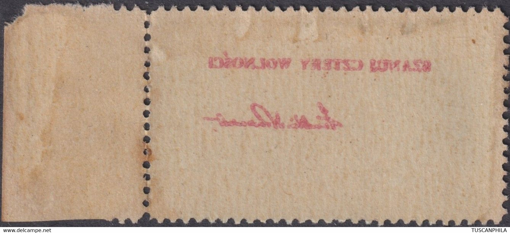 Corpo Polacco 30 C. Verde E Bruno Sass. 19 MNH** Sovrastampato - 1946-47 Corpo Polacco Period