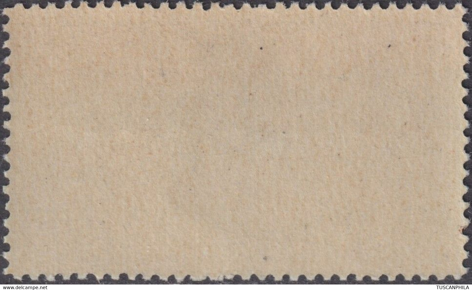 Corpo Polacco 60 C. Rosso E Bruno Sass. 21 MNH** Sovrastampato - 1946-47 Période Corpo Polacco