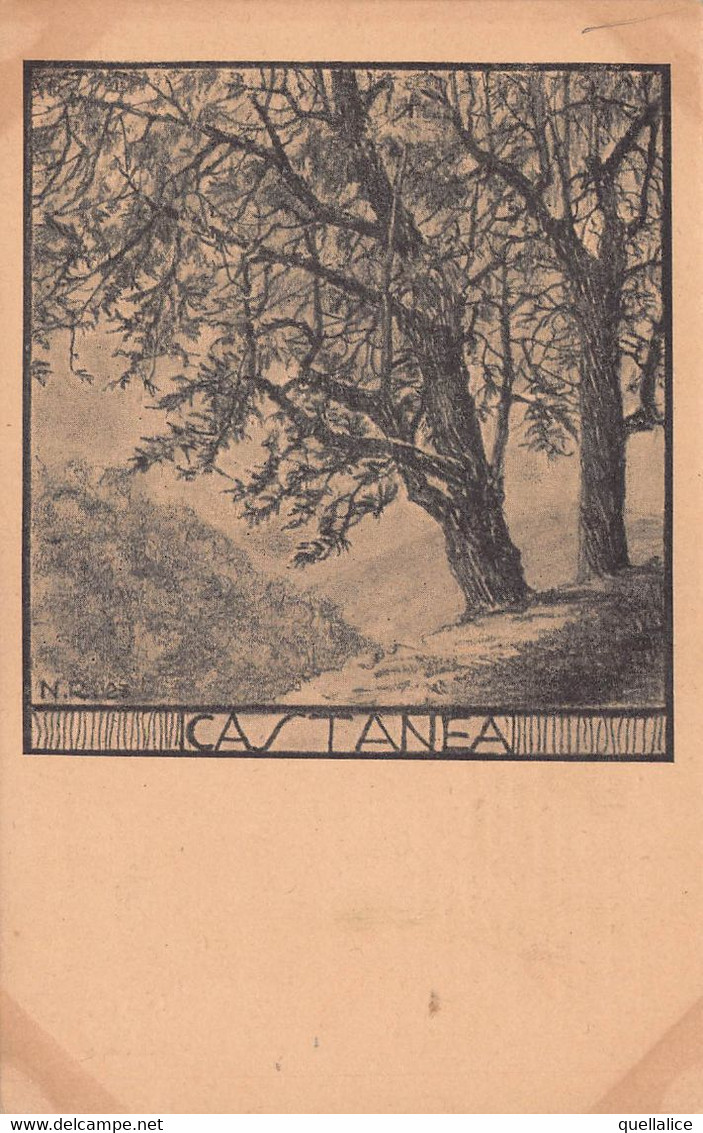 03472 "PIANTA CASTANEA SATIVA- N.R. 1923 - 2801 - CASTAGNO"  PAESAGGIO. CART NON SPED - Trees