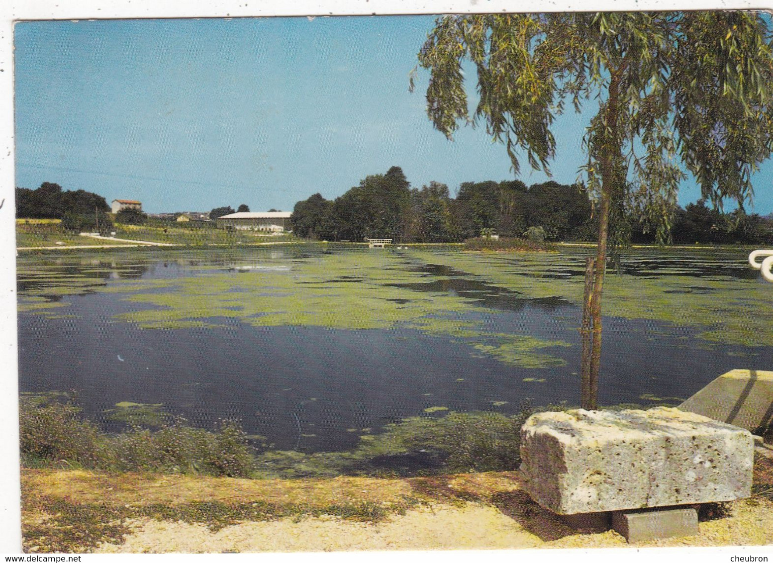 18. LES AIX D'ANGILLON. CPSM.  L'ETANG COMMUNAL. ANNEE 1978 + TEXTE - Les Aix-d'Angillon