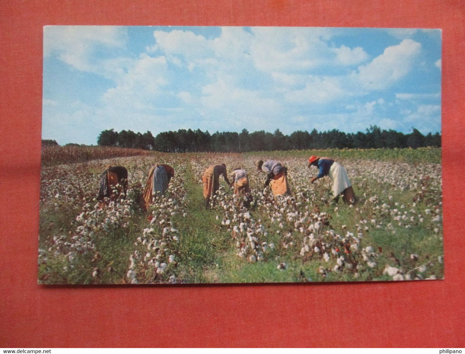 > Black Americana    Cotton Pickers Time In South.   Ref  5425 - Black Americana
