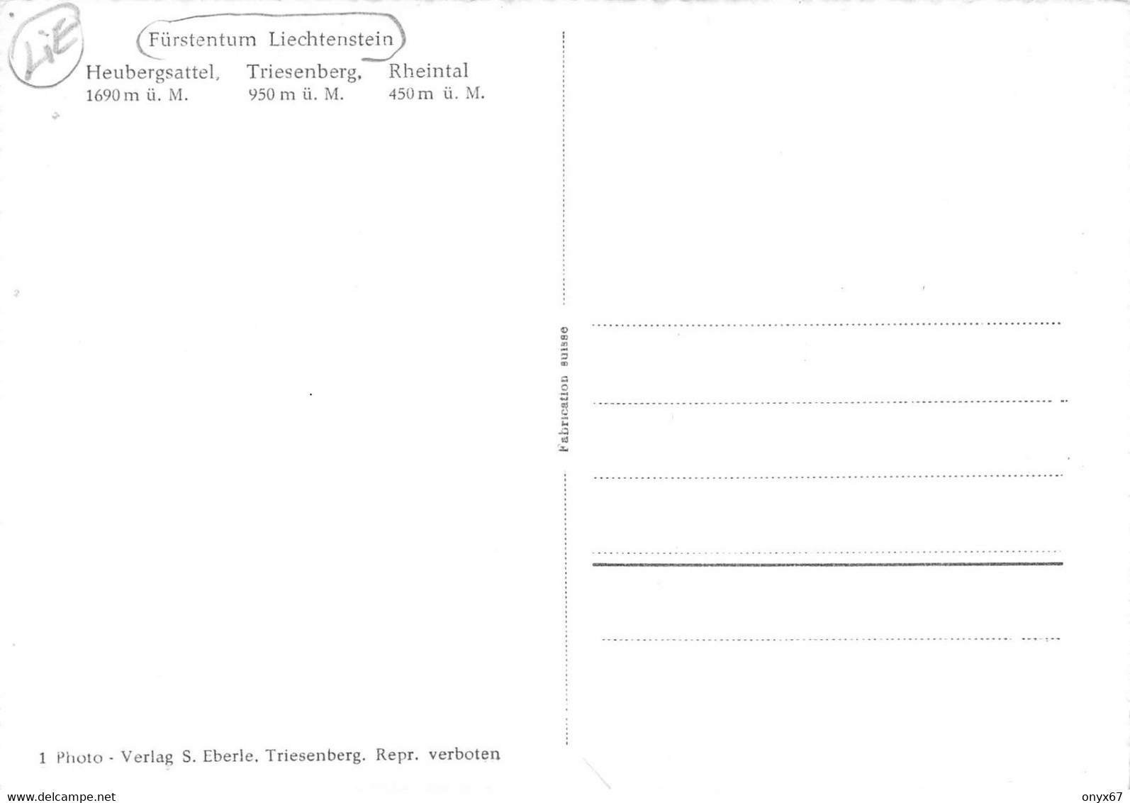 HEUBERGSATTEL-TRIESENBERG-RHEINTAL - Fürstentum - Liechtenstein - Grand Format 10 X 15 Cms - Liechtenstein