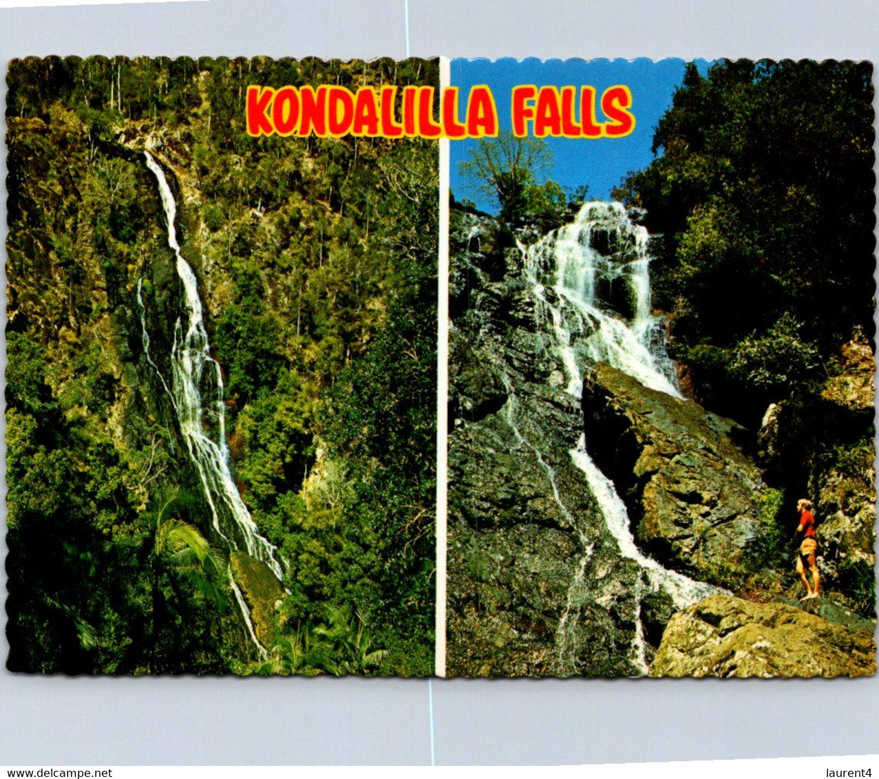 (1 F 33) Australia - QLD - Kondalilla Falls - Sunshine Coast