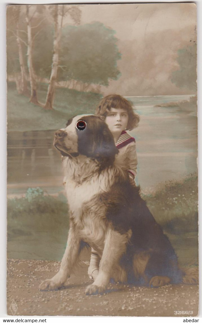 Dog With Brown Glass Eyes, Saint Bernard Chien Mit |Glaßaugen  Old Postcard Cpa. 1922 - Cani