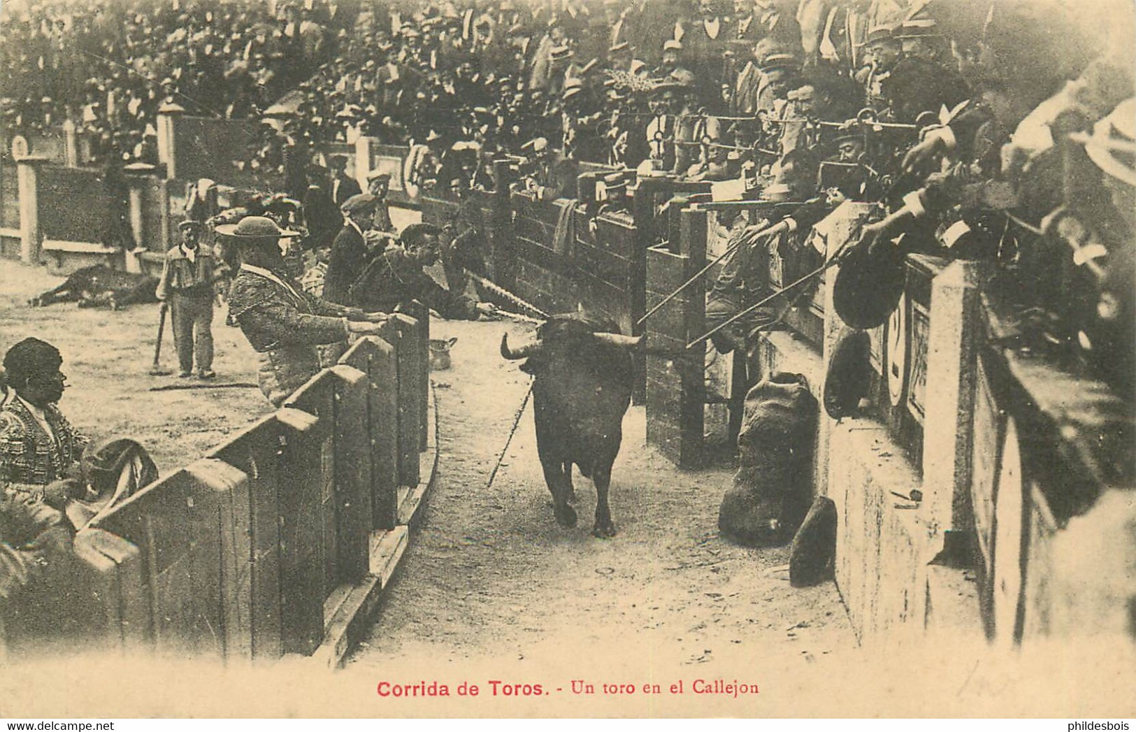 CORRIDA  Un Toro En El Callejon - Corrida