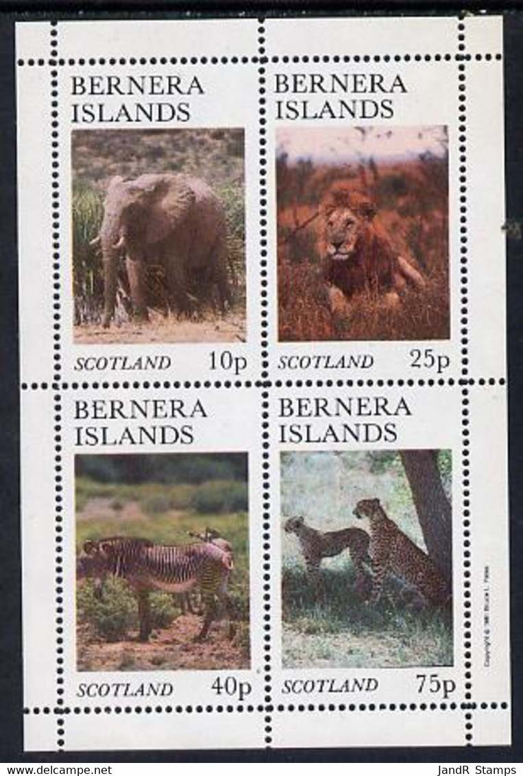 Bernera 1981 Animals (Elephant, Lion. Zebra) Perf Set Of 4 Values (imprint In Outer Margin) MNH - Local Issues