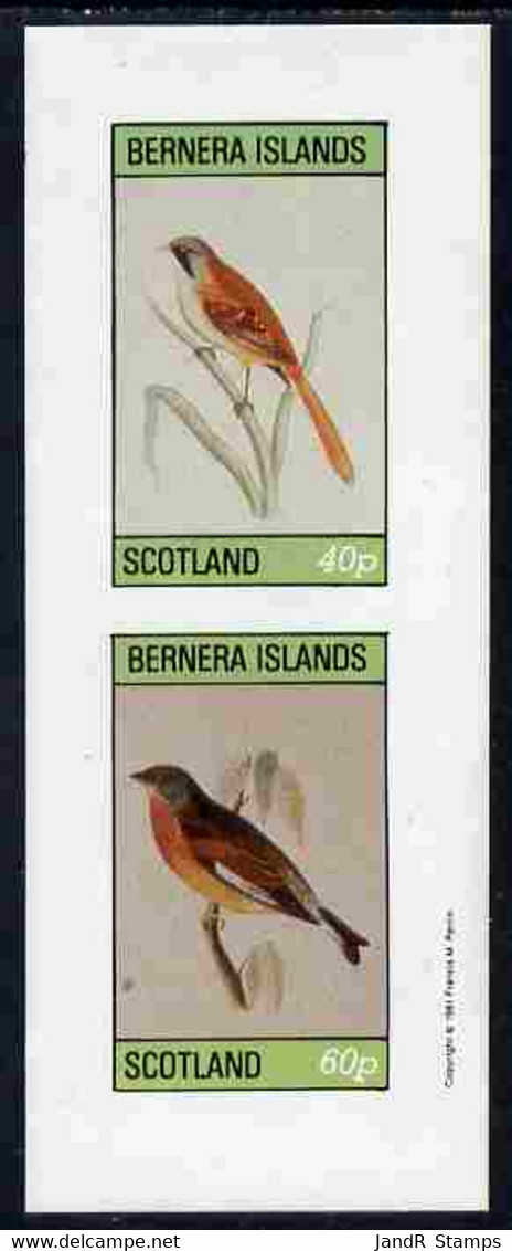 Bernera 1981 Birds #01 Imperf  Set Of 2 Values Complete (40p & 60p) MNH - Local Issues