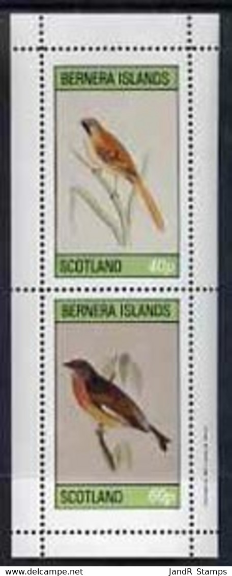 Bernera 1981 Birds #01 Perf  Set Of 2 Values Complete (40p & 60p) MNH - Local Issues