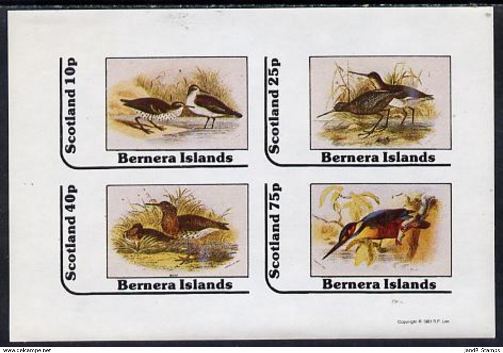 Bernera 1981 Birds #05 (3 Waders & Kingfisher) Imperf  Set Of 4 Values (10p To 75p) MNH - Local Issues