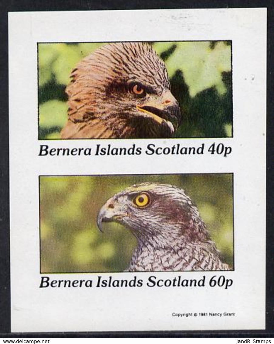 Bernera 1981 Birds Of Prey  Imperf  Set Of 2 Values (40p & 60p) MNH - Local Issues