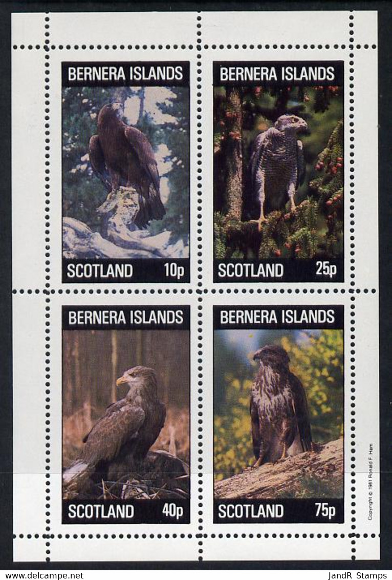 Bernera 1981 Birds Of Prey Perf  Set Of 4 Values (10p To 75p) MNH - Local Issues