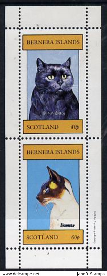 Bernera 1981 Cats (British Black & Siamese) Perf  Set Of 2 Values (40p & 60p) MNH - Local Issues