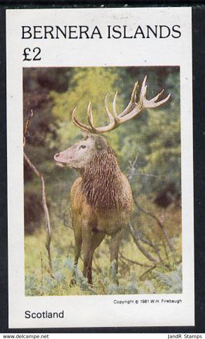 Bernera 1981 Deer #1 Imperf Deluxe Sheet (�2 Value) MNH - Local Issues