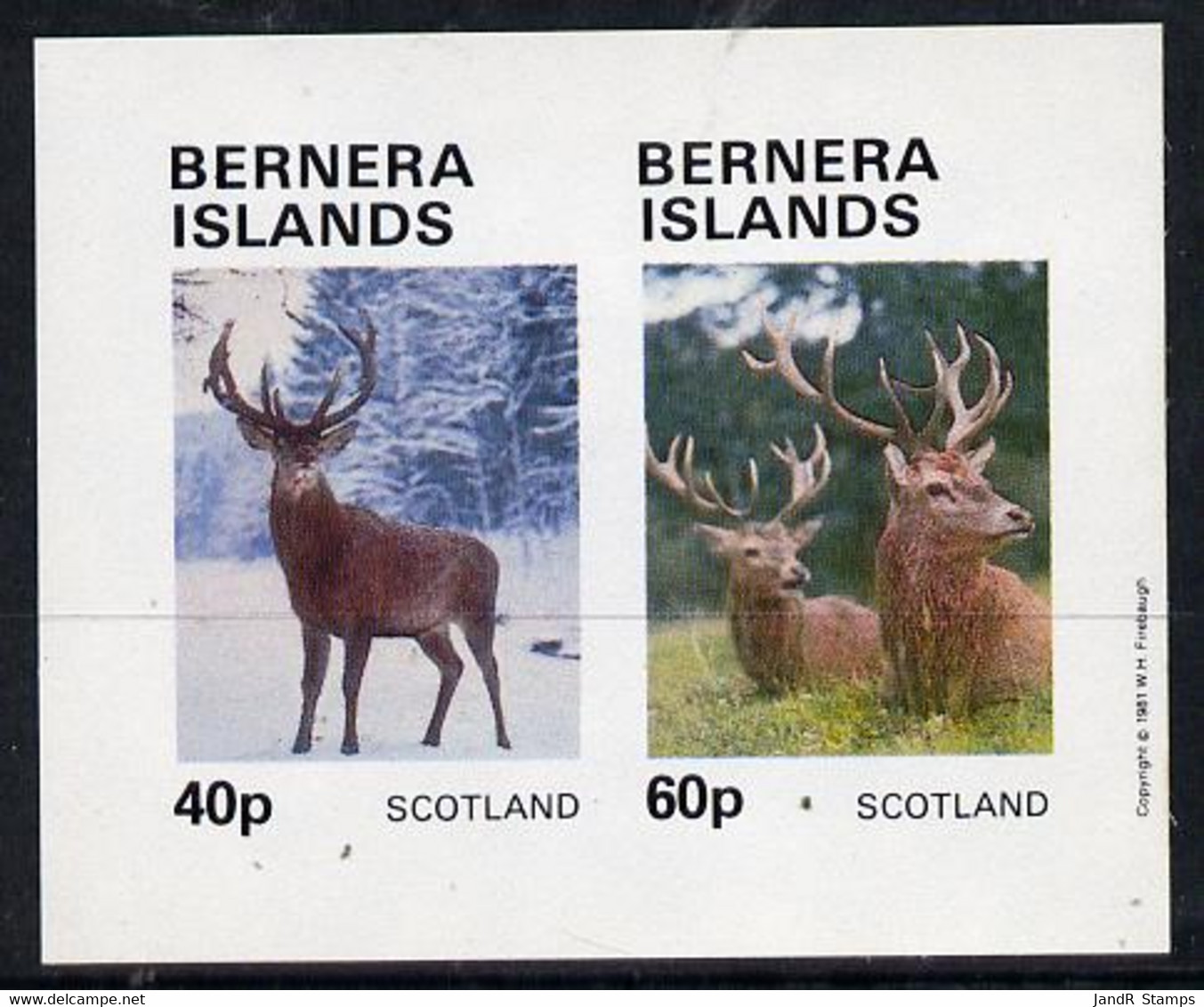 Bernera 1981 Deer Imperf  Set Of 2 Values (40p & 60p) MNH - Local Issues