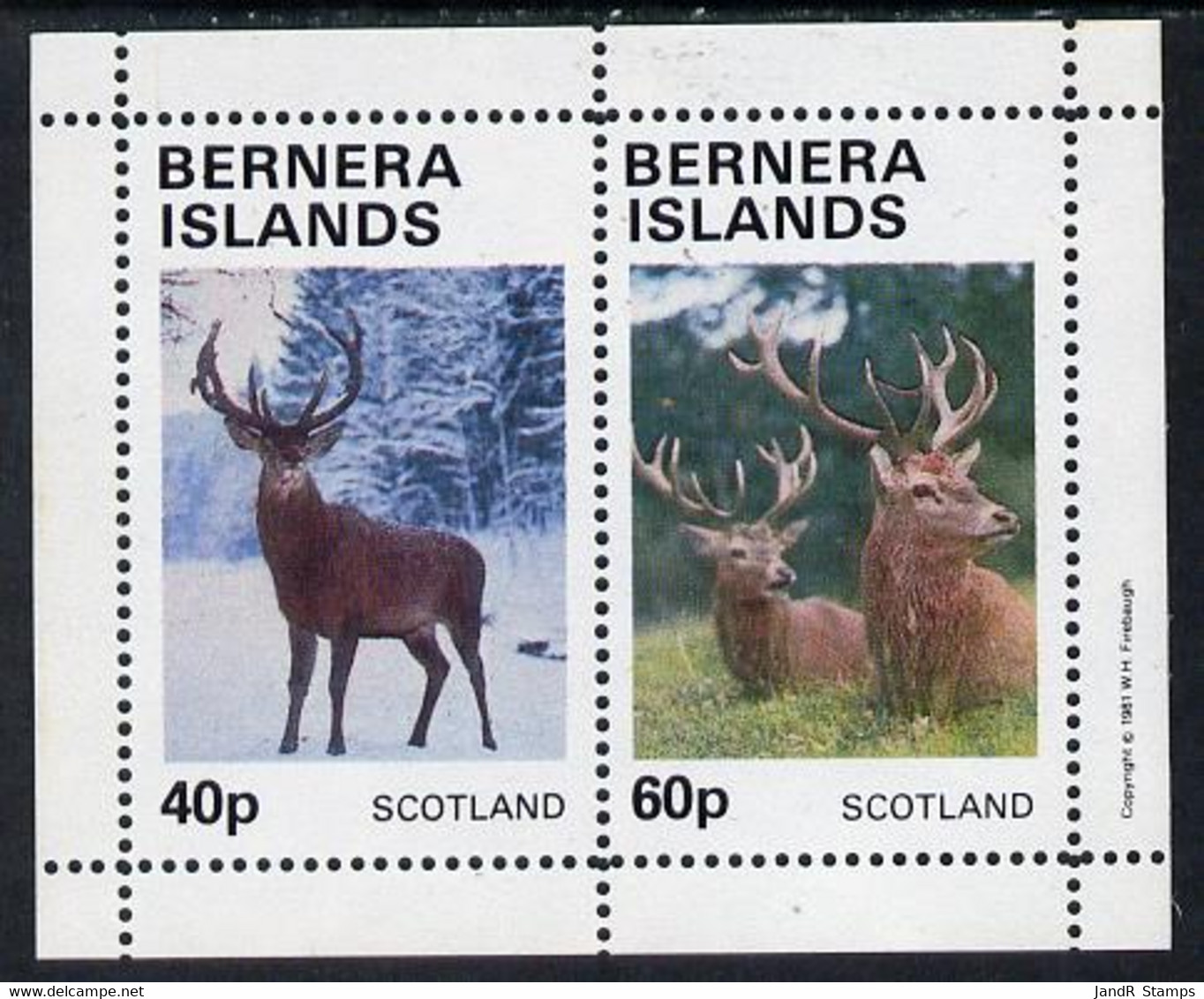 Bernera 1981 Deer Perf  Set Of 2 Values (40p & 60p) MNH - Local Issues