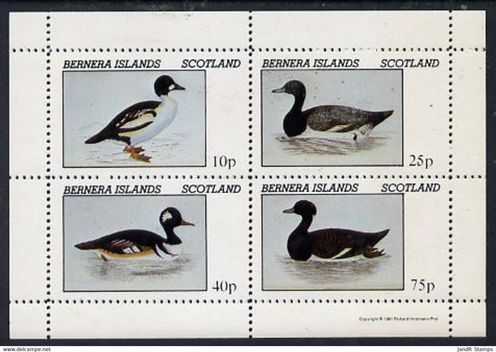 Bernera 1981 Ducks #1 Perf  Set Of 4 Values (10p To 75p) MNH - Local Issues