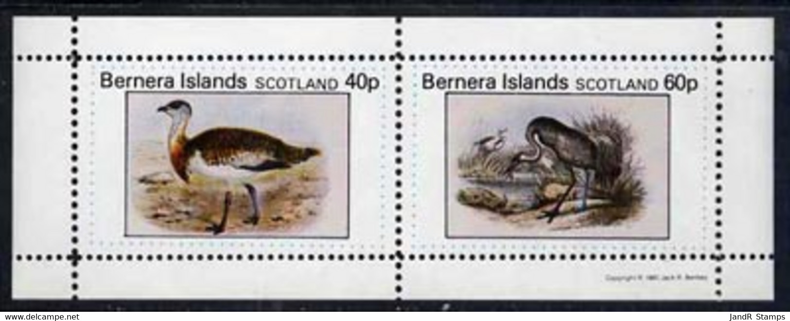 Bernera 1981 Ducks #3 Perf  Set Of 2 Values (40p & 60p) MNH - Local Issues