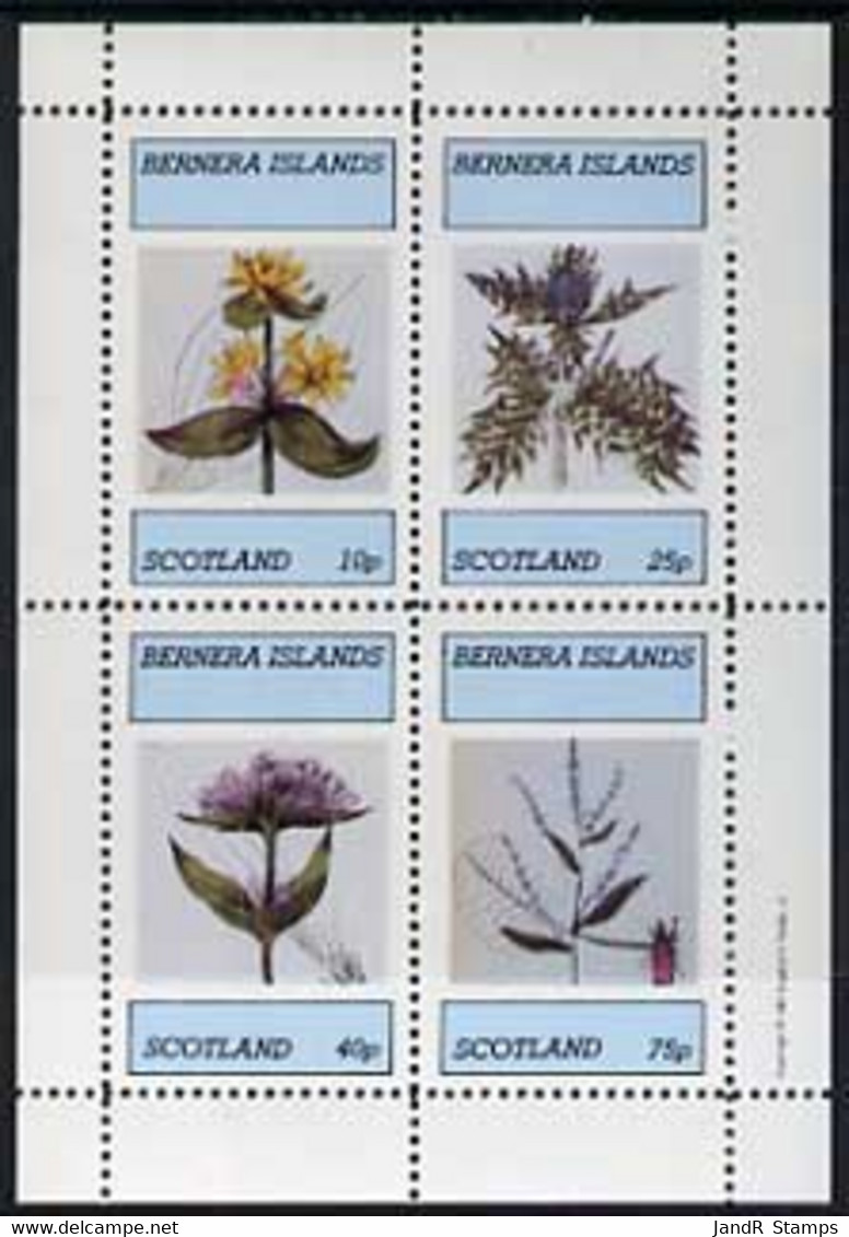 Bernera 1981 Flowers #02 Perf  Set Of 4 Values (10p To 75p) MNH - Local Issues