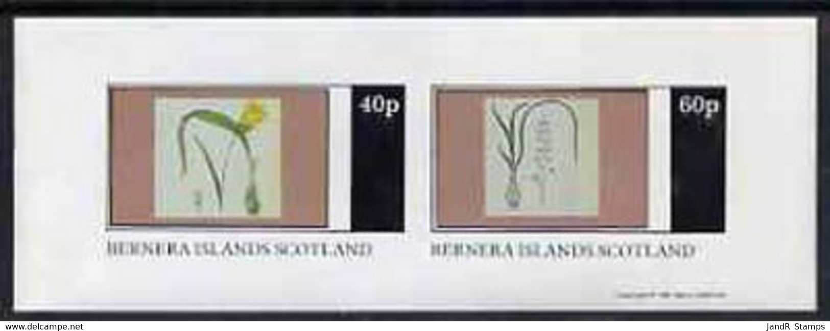 Bernera 1981 Flowers #04 Imperf  Set Of 2 Values (40p & 60p) MNH - Local Issues