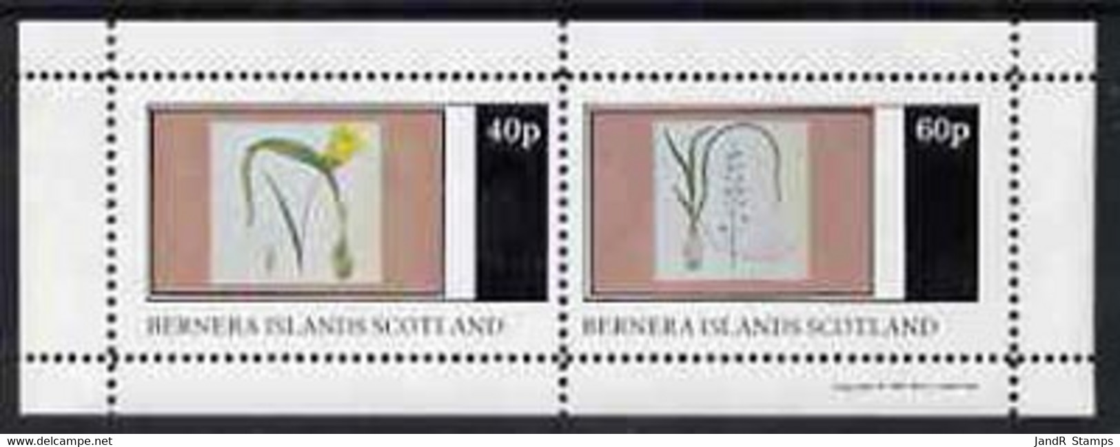 Bernera 1981 Flowers #04 Perf  Set Of 2 Values (40p & 60p) MNH - Local Issues
