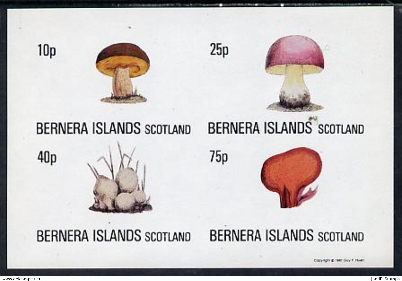 Bernera 1981 Fungi Imperf Set Of 4 Values Complete (10p To 75p) MNH - Local Issues