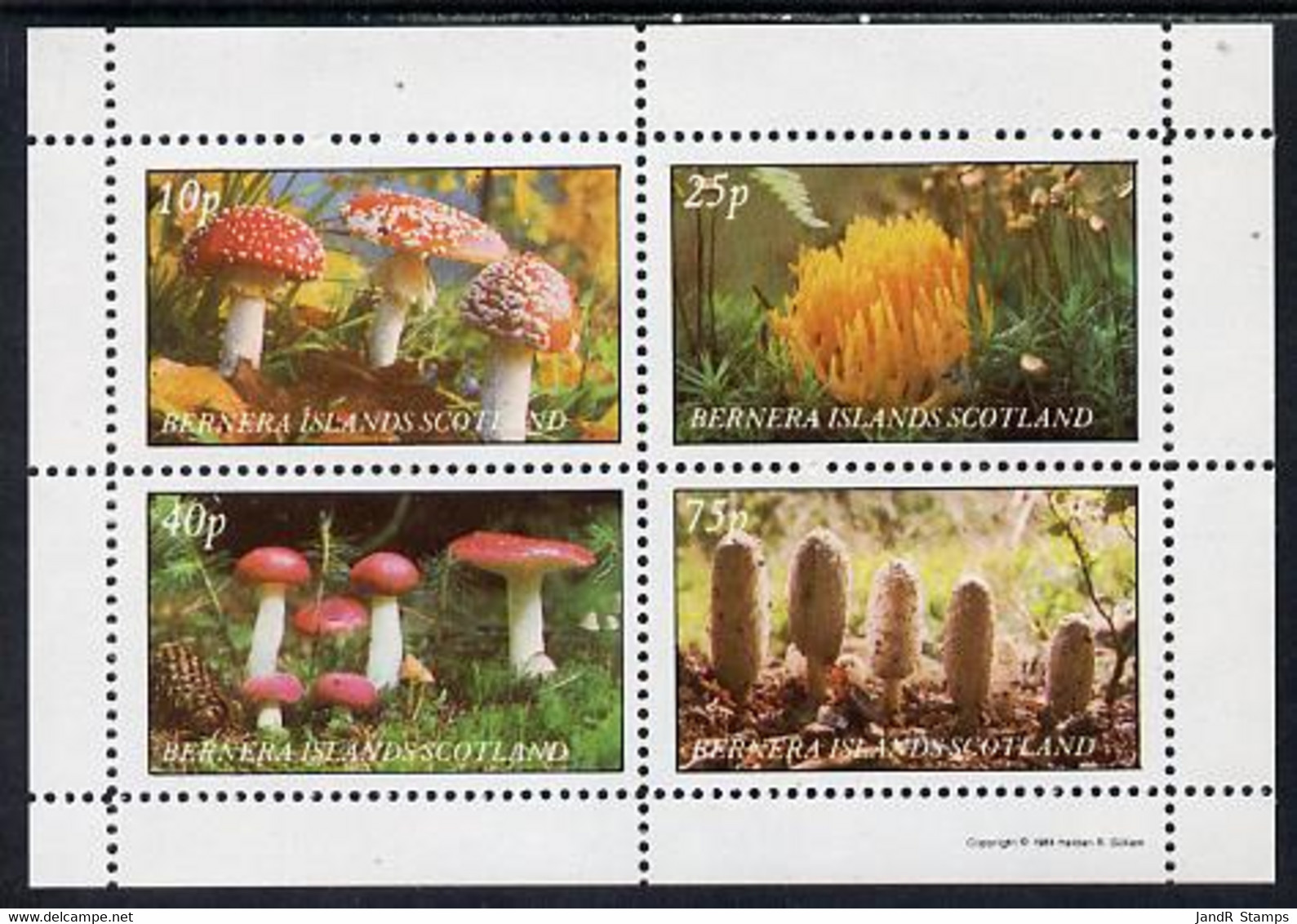 Bernera 1981 Fungi Perf Set Of 4 Values (10p To 75p) MNH - Local Issues