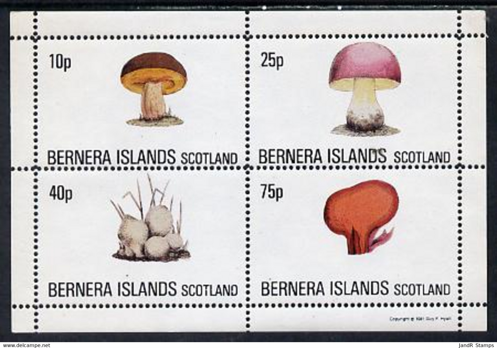 Bernera 1981 Fungi Perf Set Of 4 Values Complete (10p To 75p) MNH - Local Issues