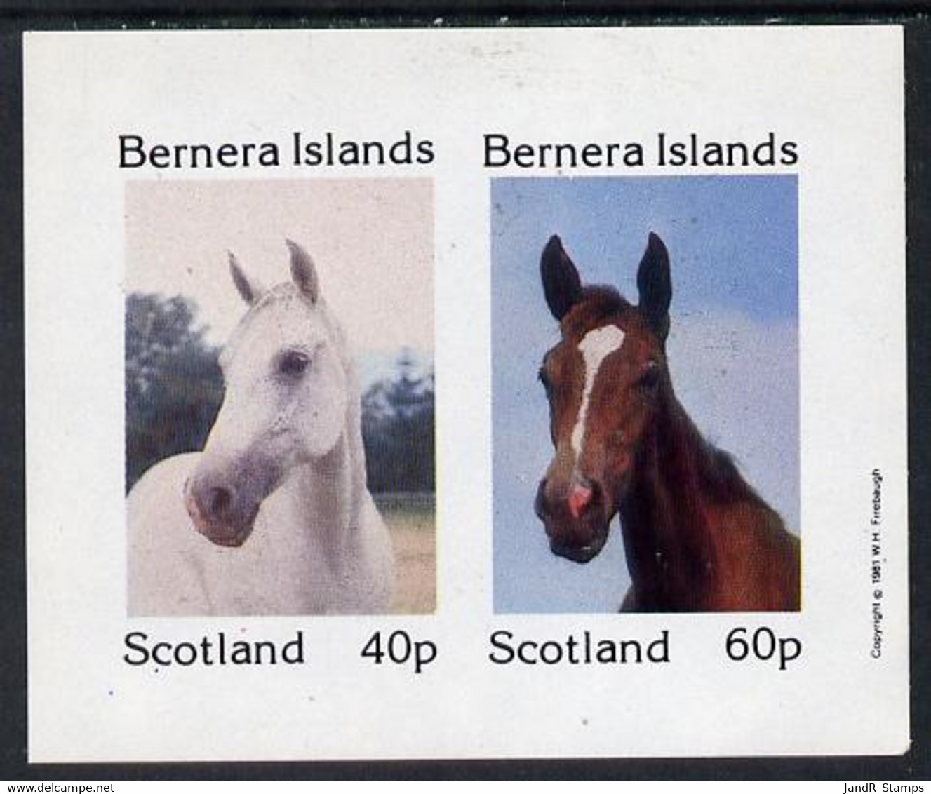 Bernera 1981 Horses Imperf  Set Of 2 Values (40p & 60p) MNH - Local Issues