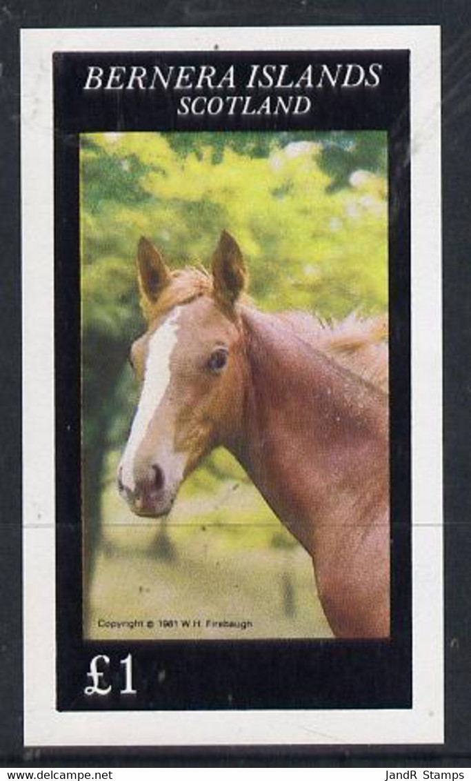 Bernera 1981 Horses Imperf Souvenir Sheet (�1 Value) MNH - Local Issues
