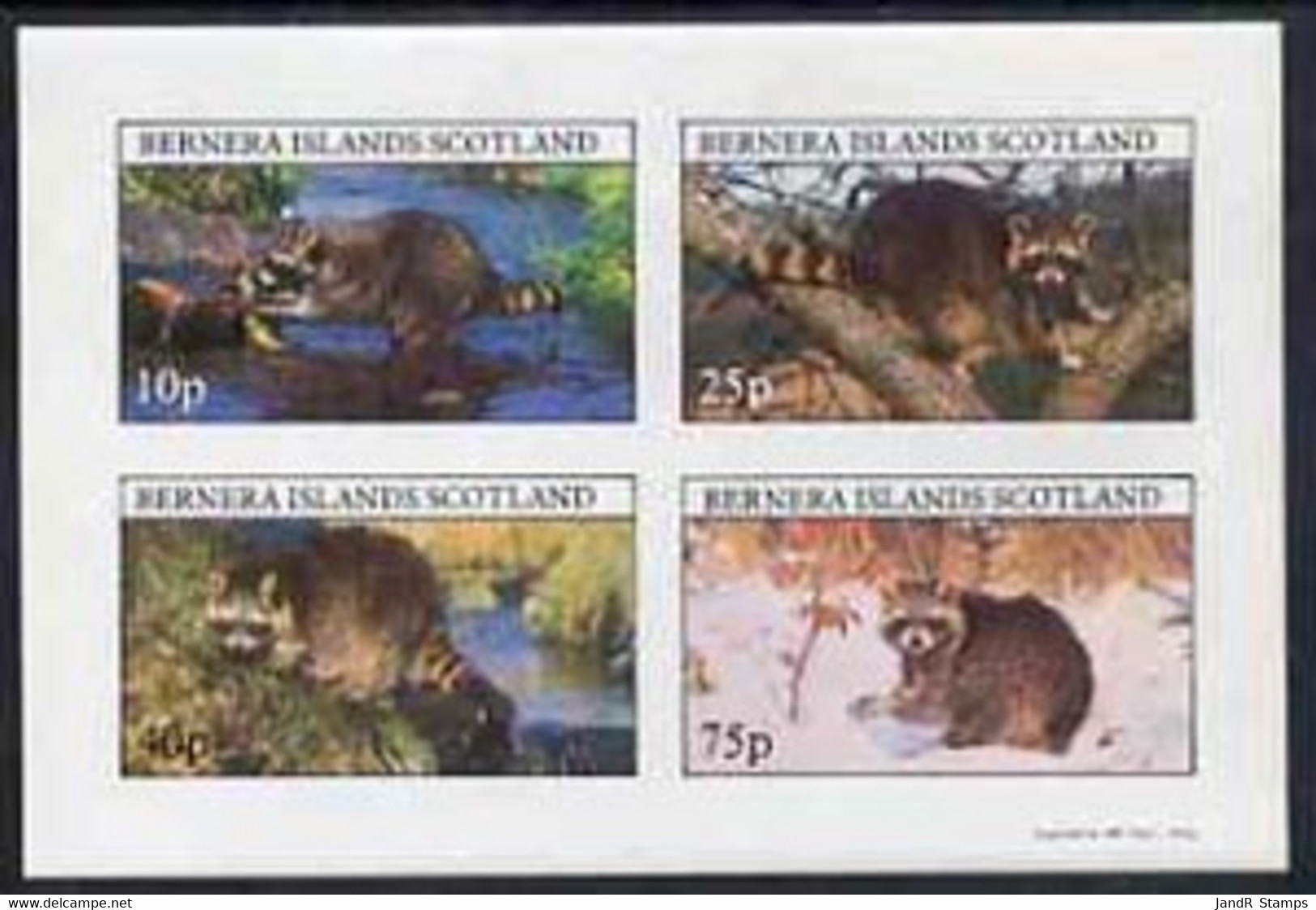 Bernera 1981 Racoons Imperf  Set Of 4 Values Complete (10p To 75p) MNH - Local Issues