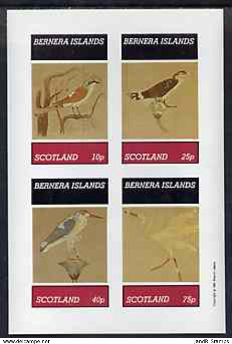 Bernera 1981 Wall Paintings Of Birds Imperf Sheetlet Containing Set Of 4 Values MNH - Local Issues