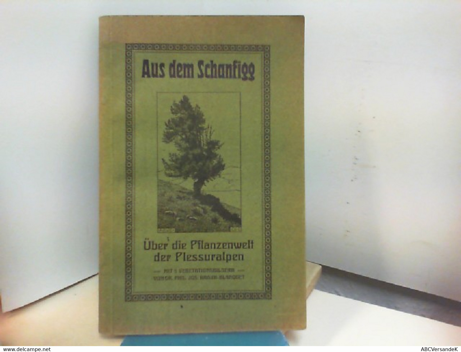 Aus Dem Schanfigg - Die Pflanzenwelt Der Plessuralpen - Natuur