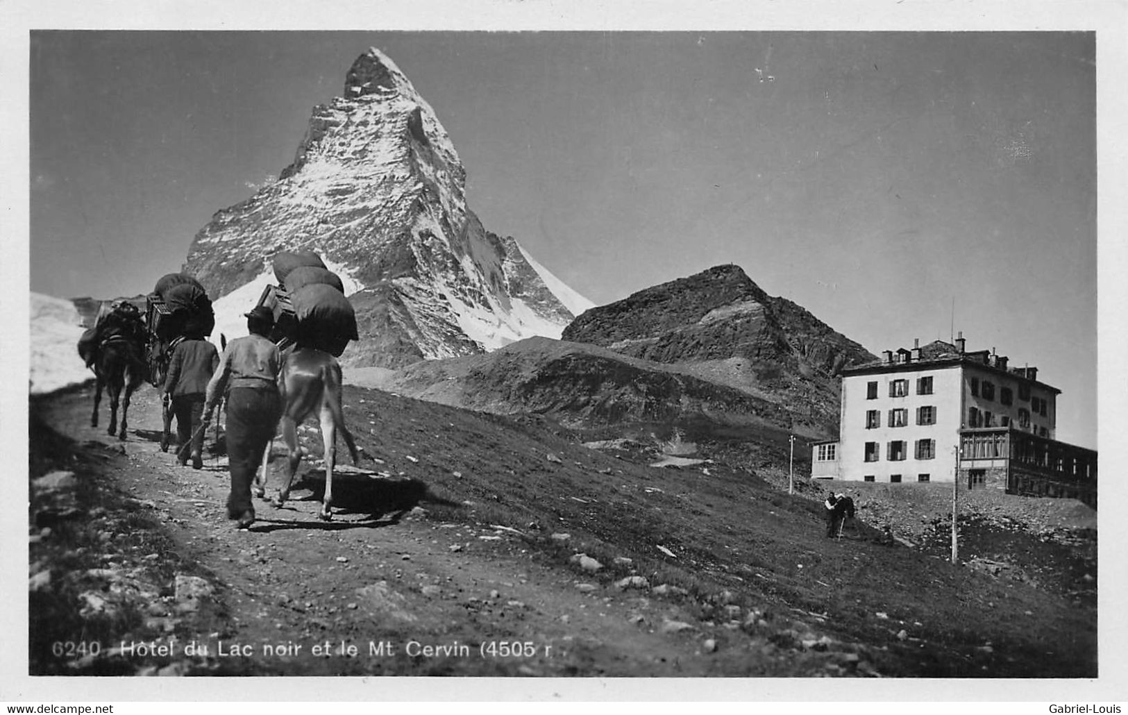 Hotel Du Lac Noire Et Le Mont Cervin Matterhorn Zermatt - Caravane De Mulets Karawane Von Maultieren Muletier - Zermatt