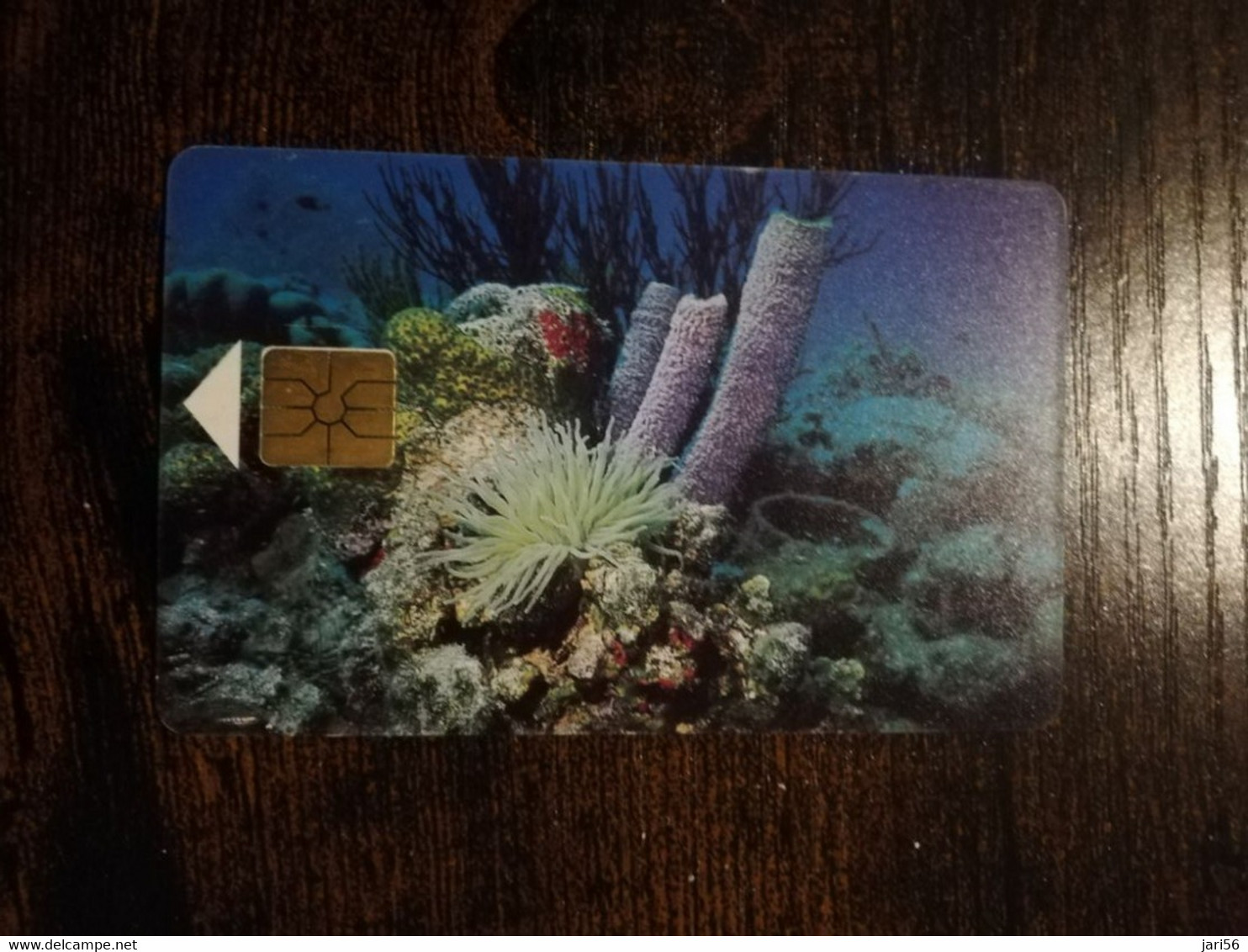 BONAIRE Naf 15,00 60units  CORAL REEFS   **6842** - Antille (Olandesi)