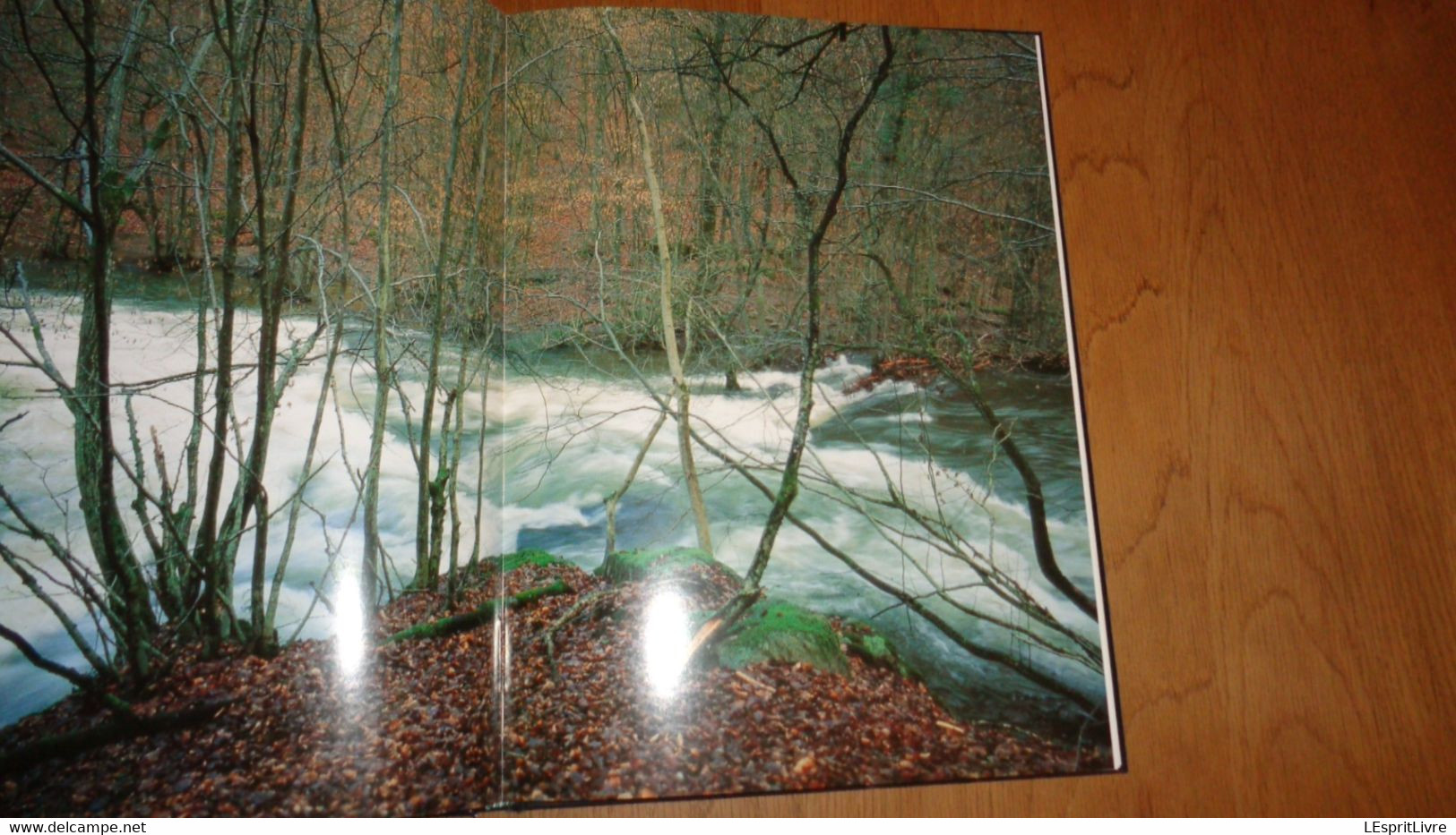 EXTRAORDINAIRES RIVIERES ET FORÊTS D' ARDENNE Régionalisme Belgique Ourthe Semois Lesse Anlier Ninglinspo Nature