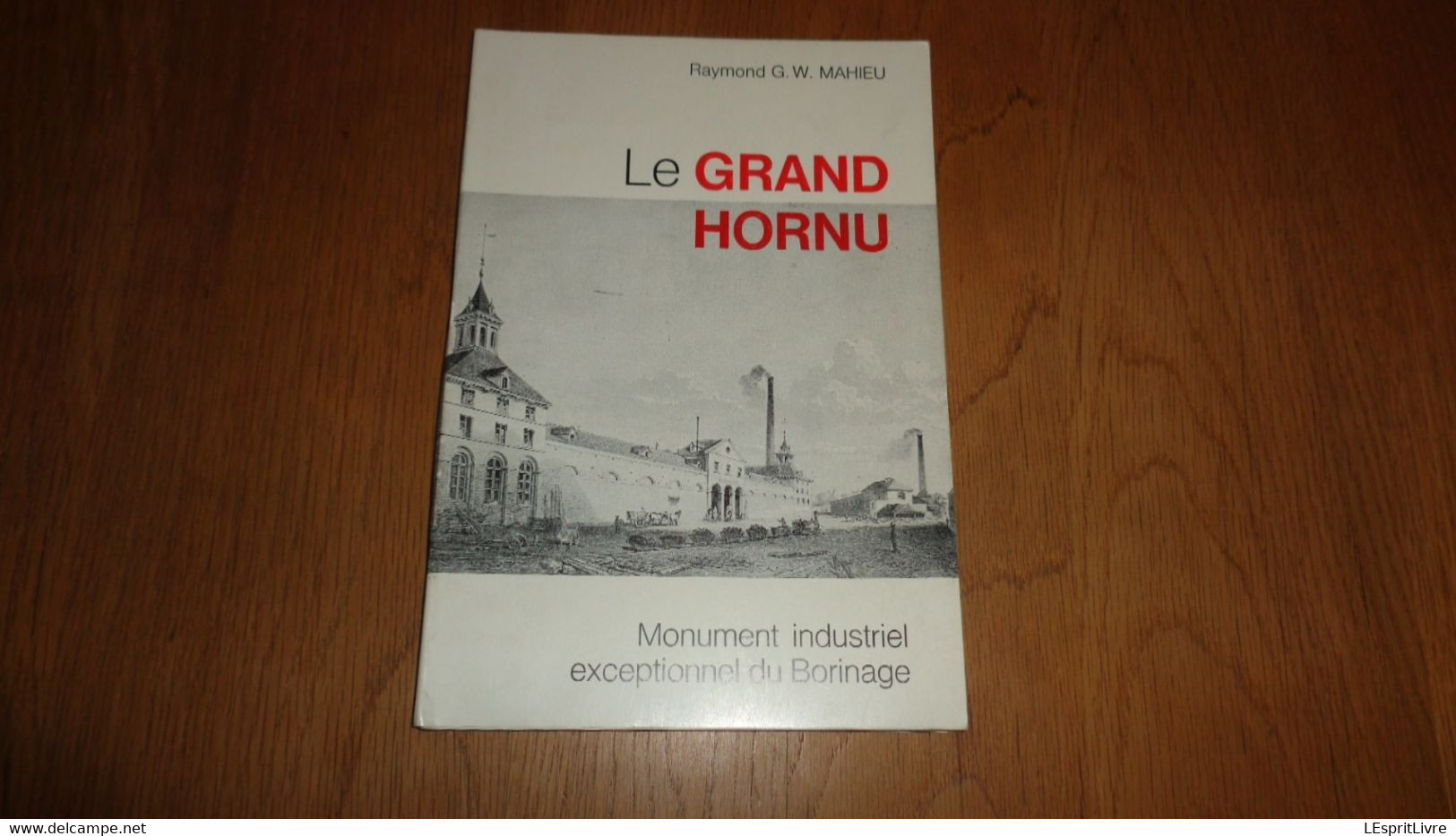 LE GRAND HORNU Mahieu R G W  Régionalisme Hainaut Borinage Charbonnage Mine Mineurs Charbon Usine Industrie Sites - Belgique