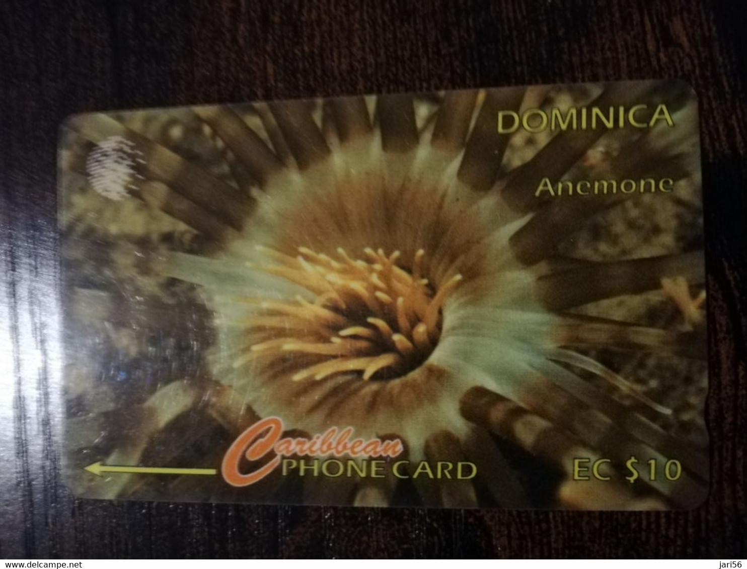 DOMINICA / $10,- GPT CARD  7CDMI    ANEMONE  Fine Used Card  ** 6869 ** - Dominique