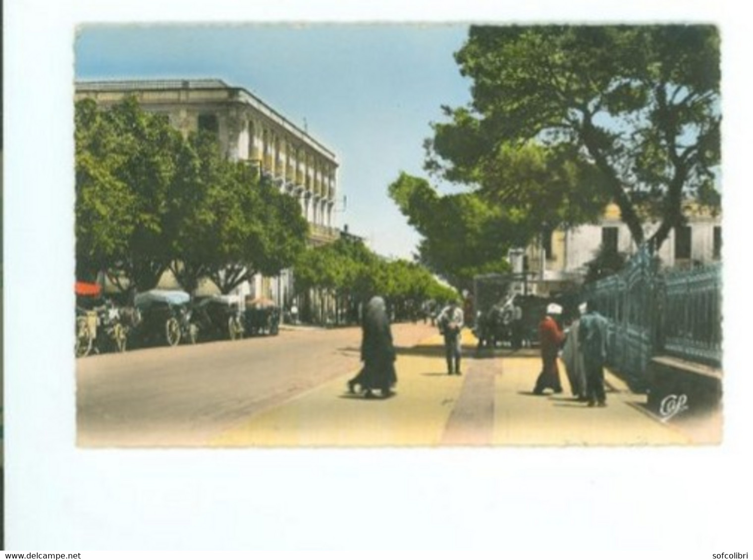 GUELMA - L'AVENUE SADI CARNOT - Guelma