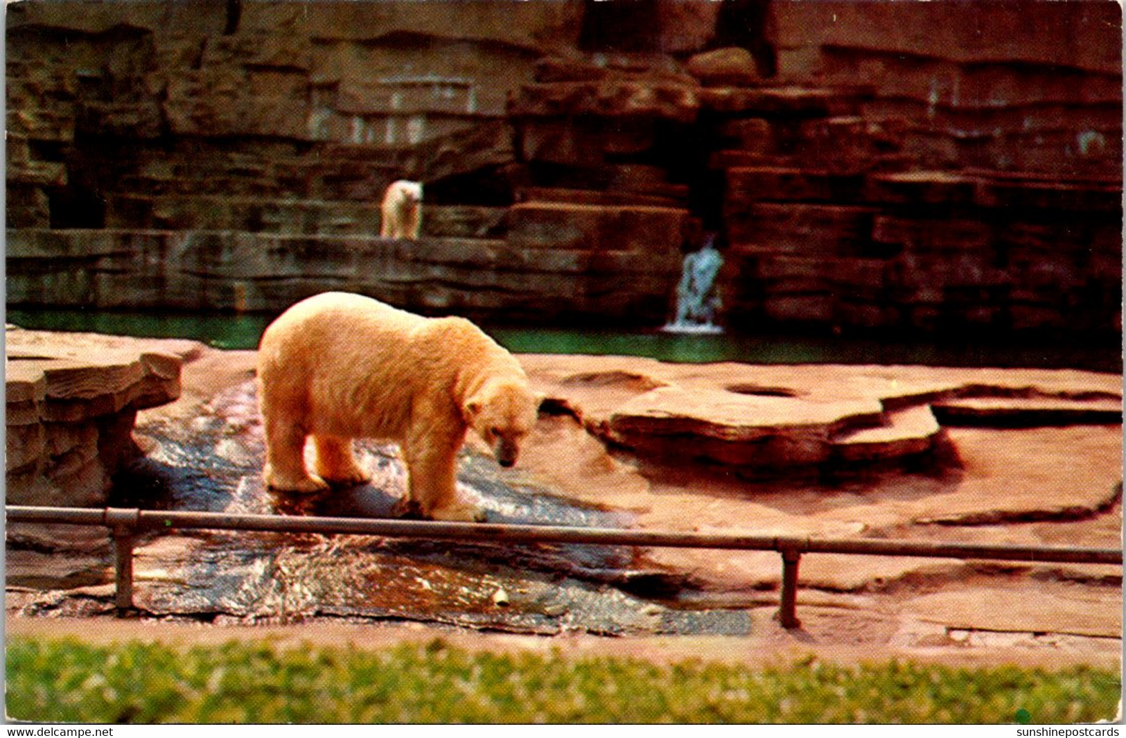 Michigan Detroit Zoological Park Polar Bear Exhibit - Detroit
