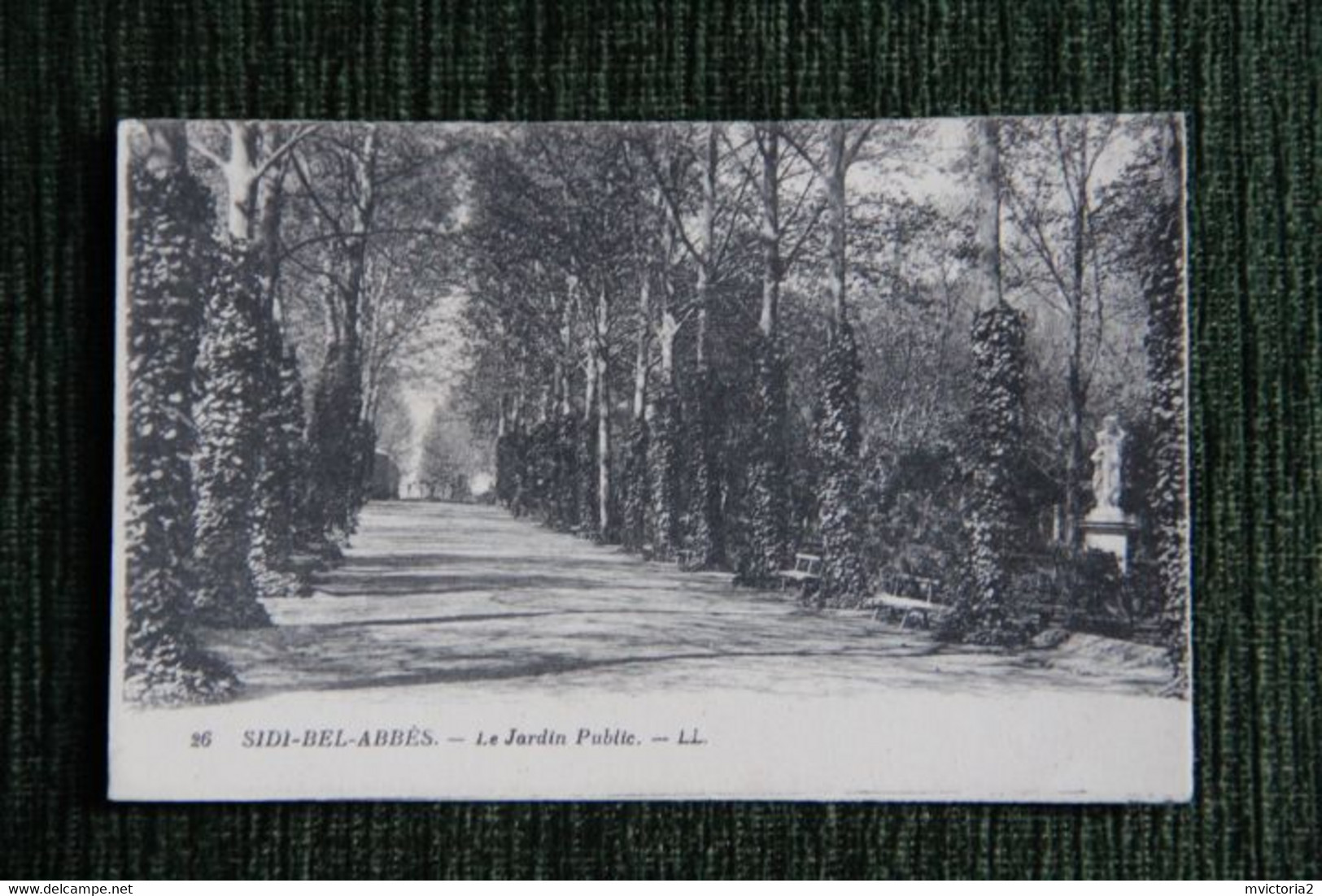SIDI BEL ABBES - Le Jardin Public. - Sidi-bel-Abbès
