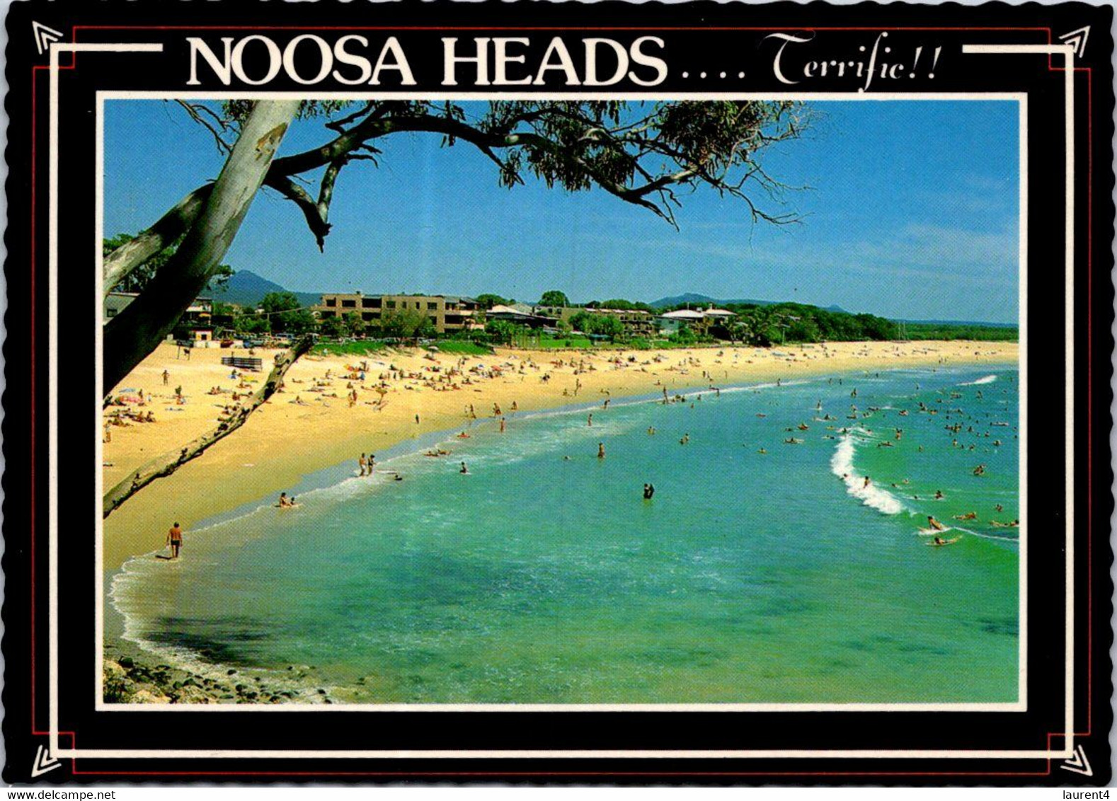 (2 F 1) Australia - QLD - Noosa Heads - Gold Coast