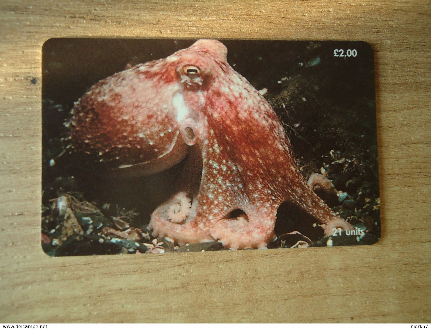 ISLE OF MAN USED CARDS  FISH FISHES MARINE LIFE OCTOPUS - Fish