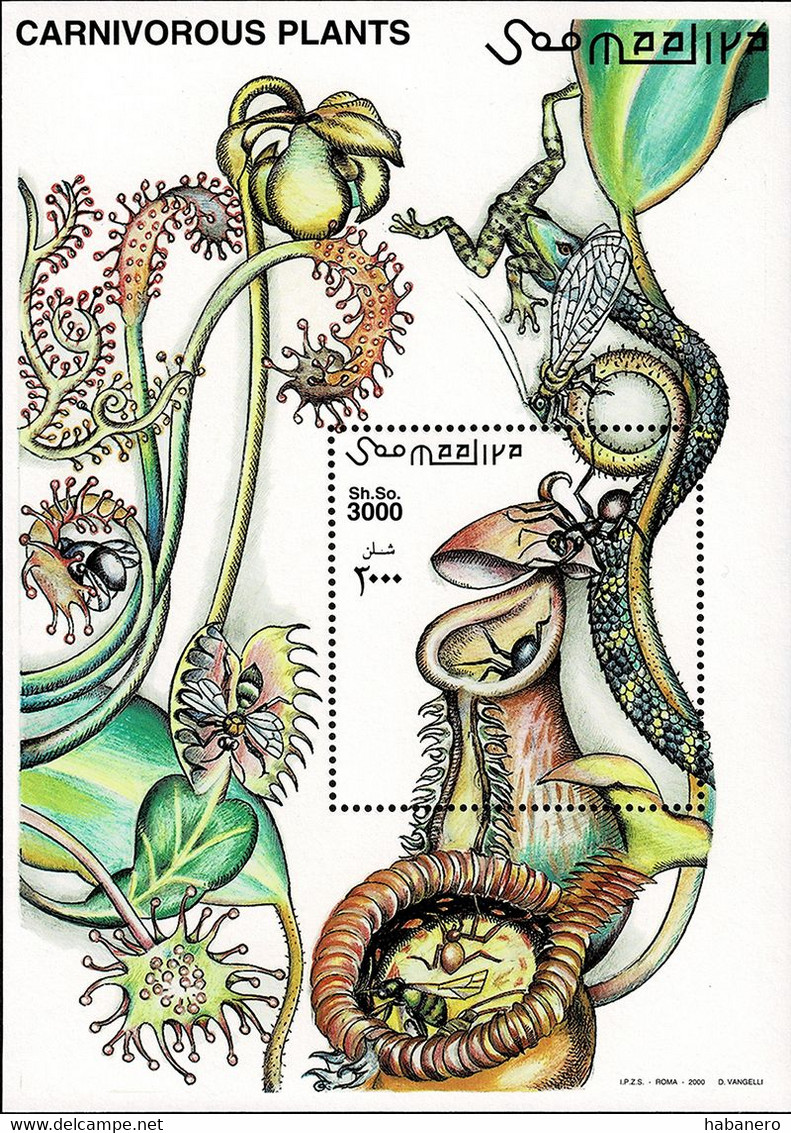 SOMALIA 2000 Mi BL 73 CARNIVOROUS PLANTS MINT MINIATURE SHEET ** - Somalia (1960-...)