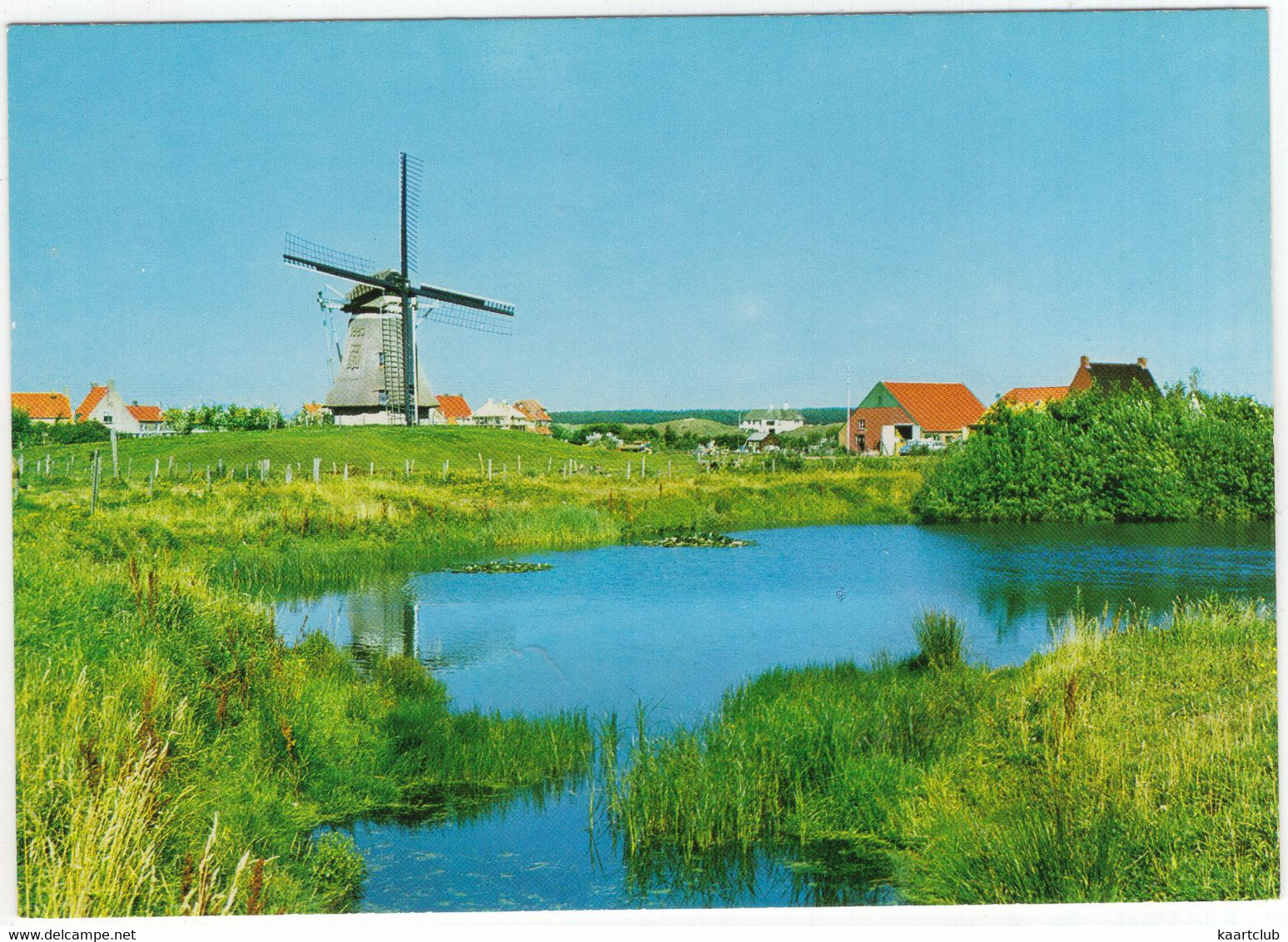 Groeten Van Ameland - De Molen Te Nes - (Wadden, Nederland / Holland - L 1238 - Moulin/Mill/Mühle - Ameland