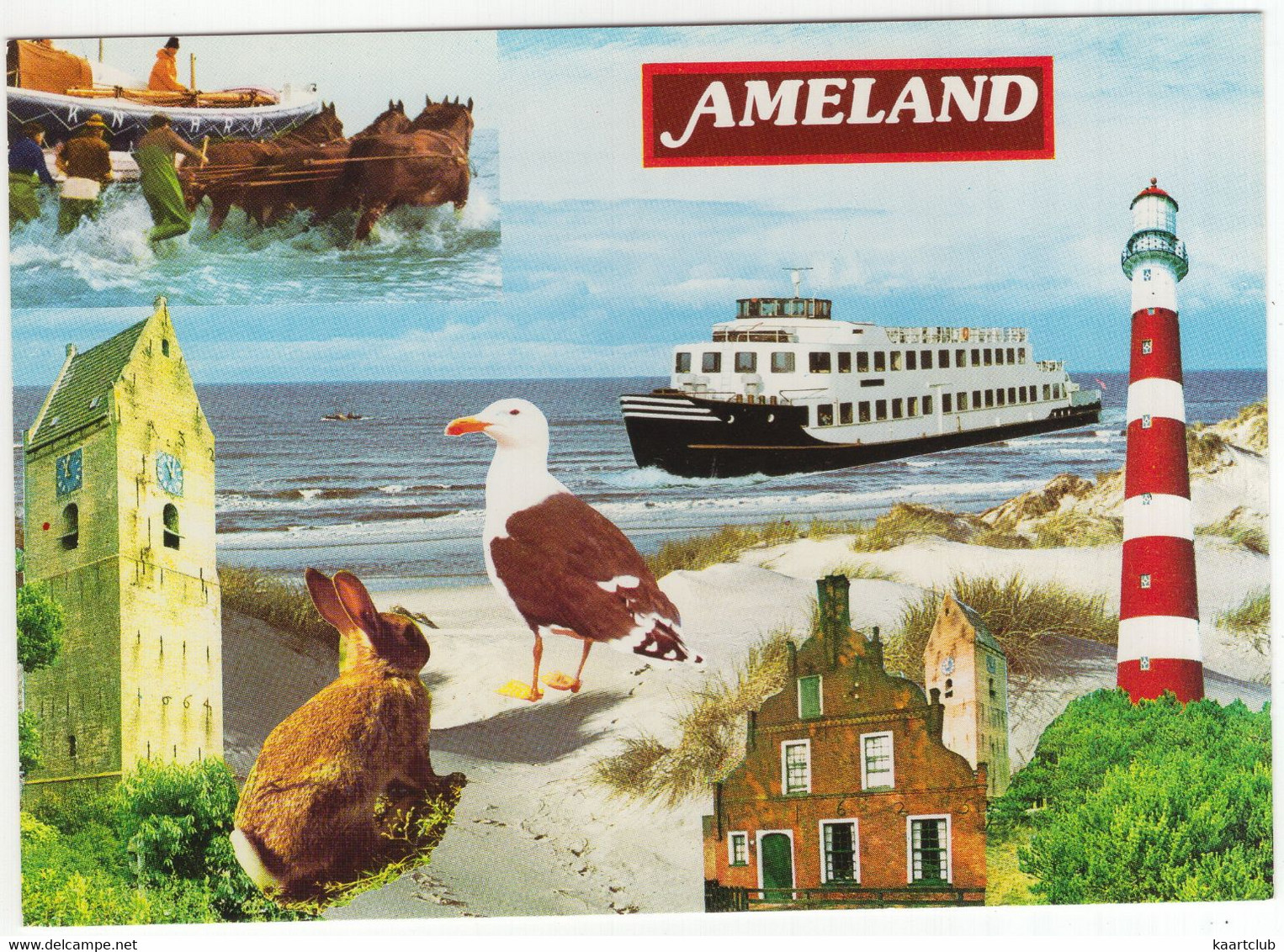 Ameland - (Wadden, Nederland / Holland - L 7081 - Div. Aspecten - Ameland